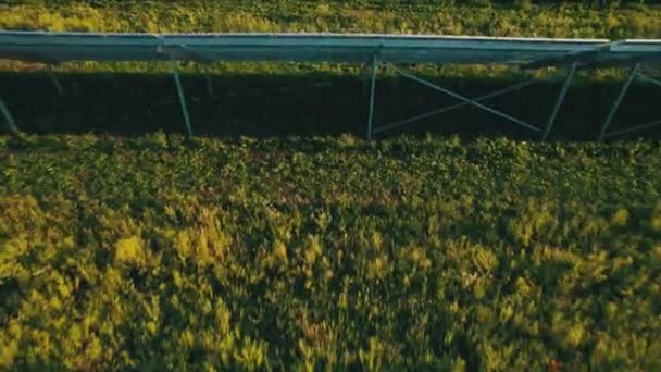 Αεροφωτογραφία Ηλιακός σταθμός στο Green Field στο Sunset, Ηλιακοί Πίνακες στη σειρά — Αρχείο Βίντεο