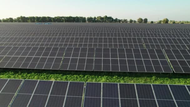 Aerial View of Solar Farm on the Green Field at Sunset Time, Solar Panels in Row — Stock Video