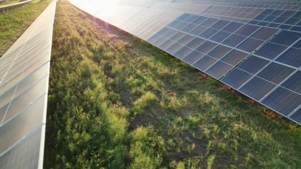 Luftaufnahme der Solarfarm auf der grünen Wiese bei Sonnenuntergang, Sonnenkollektoren in Reihe — Stockvideo