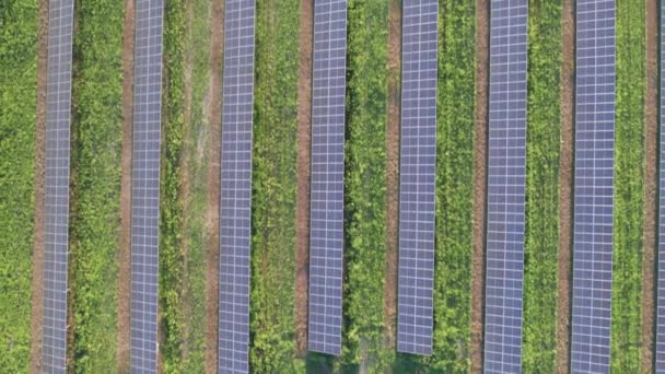Вид с воздуха на солнечную ферму на зеленом поле во время заката, солнечные панели в ряд — стоковое видео