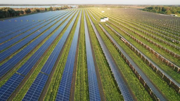 Vista aérea de la granja solar en el campo verde al atardecer, paneles solares en fila — Vídeos de Stock