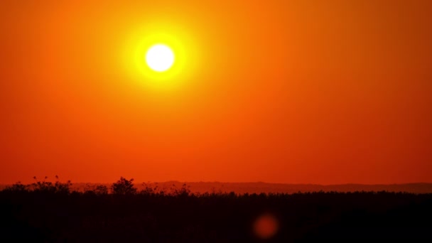 Timelapse Puesta de sol en el cielo, gran sol amarillo brillante se mueve hacia abajo en el horizonte — Vídeo de stock