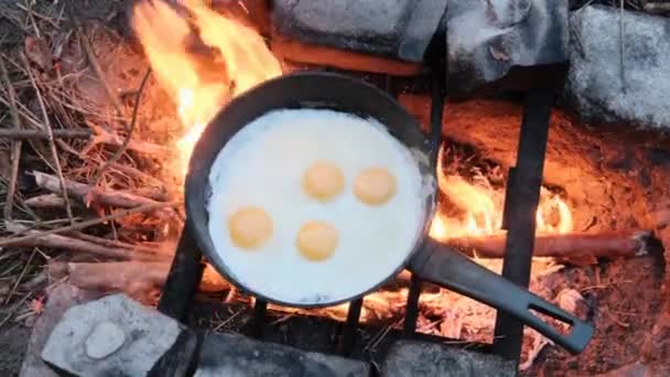 Cocinar huevos en la fogata turística en la sartén en la naturaleza — Vídeo de stock