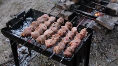 Şiş kebaplar ızgarada pişiyor, Shashlik barbeküde.