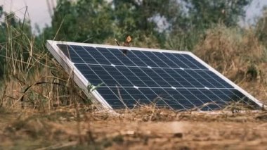 Yerdeki Taşınabilir Güneş Paneli Bağlandı ve Dışarıdaki Güç Oluşturuldu