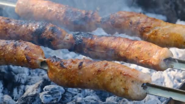 Enchidos em espetos são cozidos na grade portátil ao ar livre, Close-up, churrasco — Vídeo de Stock