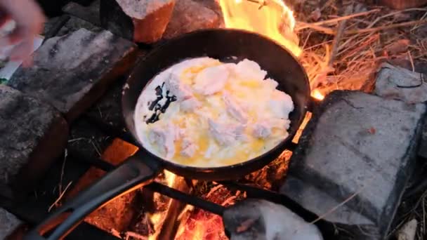 Vaření míchaná vejce s kuřecím masem na turistickém táboře pánev smažení, příroda — Stock video