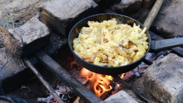 在自制炉灶的炉膛外，油炸土豆在烤盘中的作用 — 图库视频影像