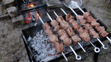 Şiş kebaplar ızgarada pişiyor, Shashlik barbeküde.