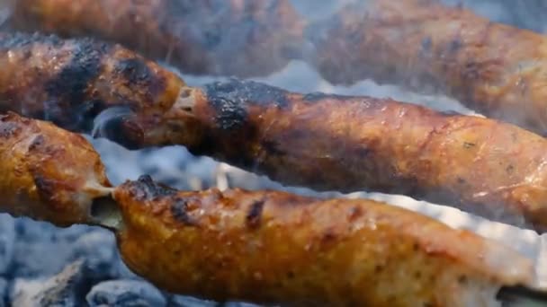 Worstjes op spiesjes worden gebakken op de draagbare barbecue Outdoor, Close-up, BBQ — Stockvideo