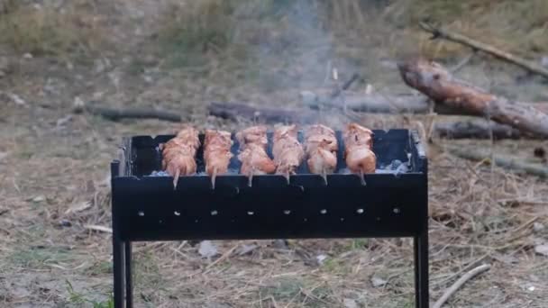 Kebabs on Skewers se cocinan en la parrilla al aire libre, Shashlik en una barbacoa — Vídeo de stock