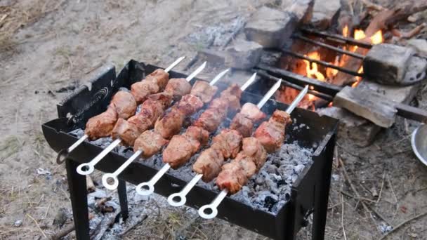 스키 우버 에 있는 케밥 들은 바르 베 큐 에 있는 샤 실 리크 라는 그릴 외문에서 요리된다 — 비디오