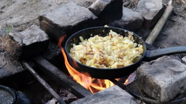 在自制炉灶的炉膛外，油炸土豆在烤盘中的作用 — 图库视频影像