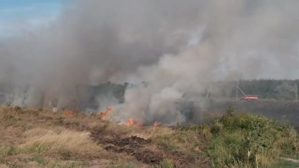 Fuoco erba secca in campo vicino al villaggio in estate, trattore spegnere il fuoco — Video Stock