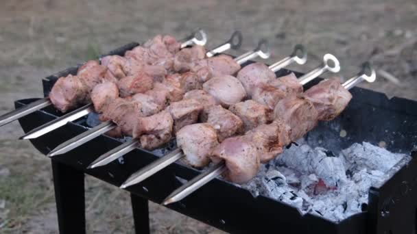 Кебабы на шашлыках готовятся на гриле на открытом воздухе, Шашлик на барбекю — стоковое видео