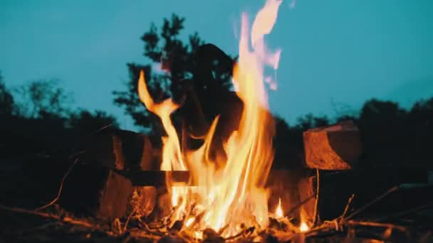 Stary czajnik turystyczny stojący na ognisku z płomieniami w obozie turystycznym o zmierzchu — Wideo stockowe