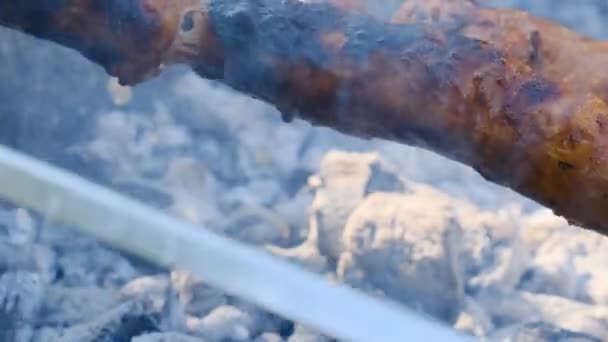 Сосиски на шашликах готуються на портативному грилі на відкритому повітрі, впритул, барбекю — стокове відео