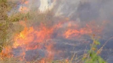 Ateş Kuru Çimen Yazın Köy 'ün yakınındaki Tarlada, Kuru Sakalın Vahşi Ateşi