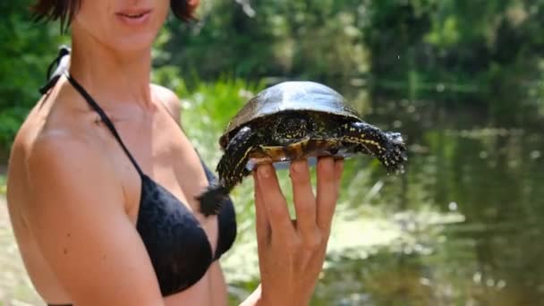 Turtle Lies on the Woman Hand on Backdrop of River with Green Vegetation — Stock Video