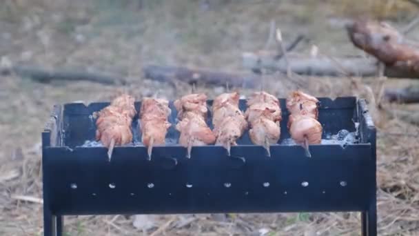 Кебабы на шашлыках готовятся на гриле на открытом воздухе, Шашлик на барбекю — стоковое видео