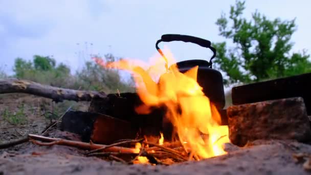 Old Tourist Kettle Standing on Campfire with Flames in Tourist Camp at Twilight — 비디오