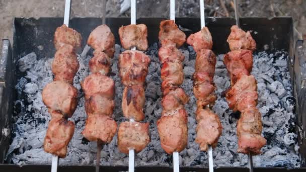 Кебабы на шашлыках готовятся на гриле на открытом воздухе, Шашлик на барбекю — стоковое видео