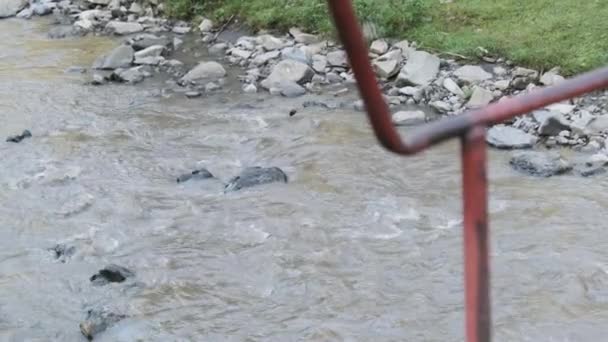 Горный поток в Карпатах — стоковое видео