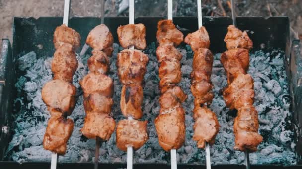 Kebabs sur brochettes sont cuits sur le barbecue en plein air, Shashlik sur un barbecue — Video