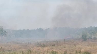 Ateş Kuru Çimen Yazın Köy 'ün yakınındaki Tarlada, Kuru Sakalın Vahşi Ateşi