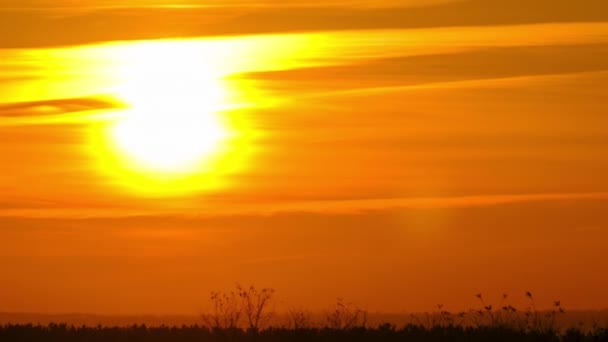 空のタイムラプスの夕日、大きな明るい黄色の太陽が地平線を動きます — ストック動画