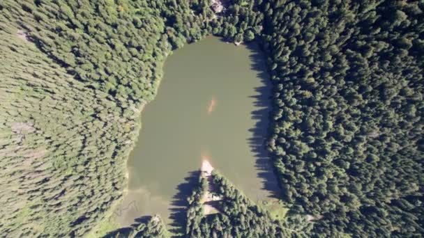 Vista aérea do Lago Synevyr em Cárpatos, Ucrânia, Europa — Vídeo de Stock