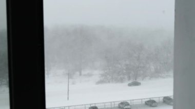 Kış Ormanı 'nın Arkasında Şiddetli Kar yağışı, Kar Fırtınası, Tipi