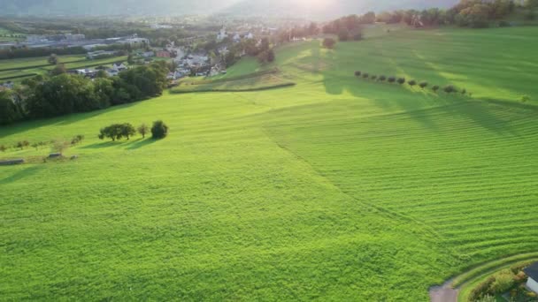 Uitzicht vanuit de lucht op ideale groene velden in Liechtenstein Alpen bij zonsondergang — Stockvideo