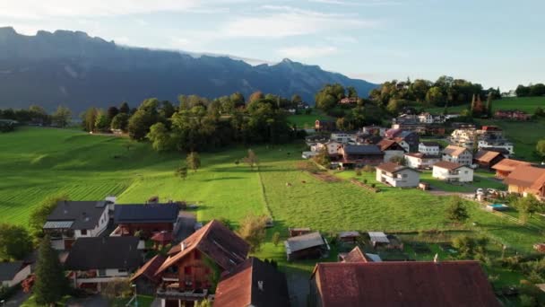 Luftaufnahme von Liechtenstein mit Häusern auf grünen Feldern im Alpental — Stockvideo