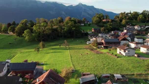 Widok z lotu ptaka na Liechtenstein z domami na zielonych polach w Alpach Mountain Valley — Wideo stockowe