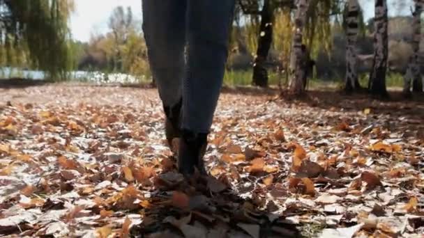 Żeńskie nogi Spacerując po Upadłych Jesiennych Liściach w Parku w Slow Motion — Wideo stockowe