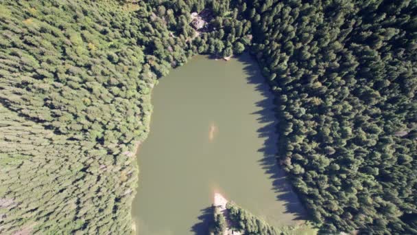 Vista aérea do Lago Synevyr em Cárpatos, Ucrânia, Europa — Vídeo de Stock