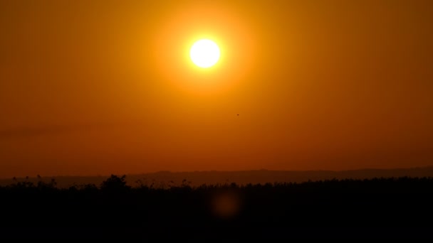 Ηλιοβασίλεμα στον ουρανό πάνω από Horizon, μεγάλο φωτεινό κίτρινο ήλιο κινείται κάτω πάνω από το δάσος — Αρχείο Βίντεο