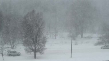 Kış Ormanı 'nın Arkasında Şiddetli Kar yağışı, Kar Fırtınası, Tipi
