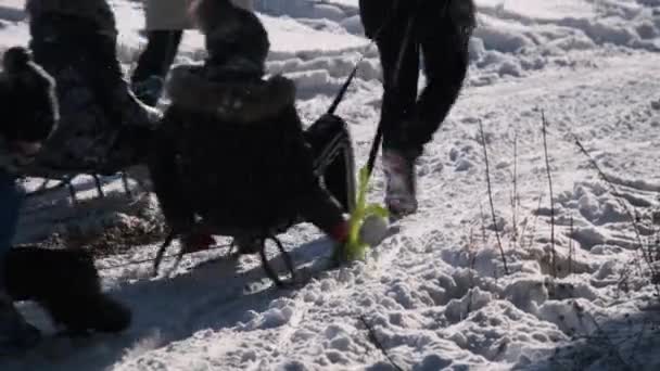 Glückliche junge Familie mit Schlittelkindern spaziert im Winterwald — Stockvideo