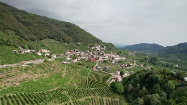 Vista aérea dos campos de vinha nas colinas na Itália, Linhas de videira em crescimento — Vídeo de Stock