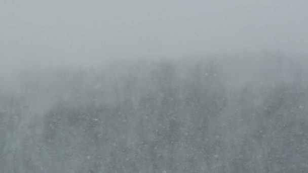 Сильный снегопад на фоне зимнего леса, снежной бури, метели — стоковое видео
