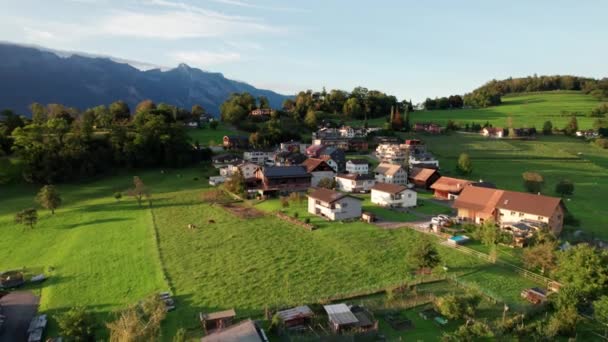 在阿尔卑斯山谷绿地上建有房屋的列支敦士登的空中景观 — 图库视频影像