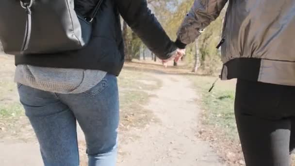 Dwie młode kobiety chodzą ze sobą ręcznie w jesiennym parku, Slow Motion — Wideo stockowe