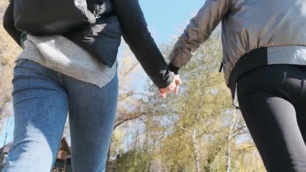 Zwei junge Frauen gehen Hand in Hand in einem Herbstpark, Zeitlupe — Stockvideo