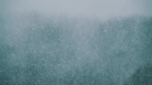 Starker Schneefall im Hintergrund des Winterwaldes, Schneesturm, Blizzard — Stockvideo