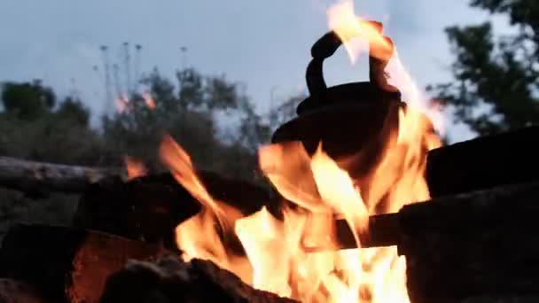 黄昏の観光キャンプで炎とキャンプファイヤーに立つ古い観光ケトル — ストック動画