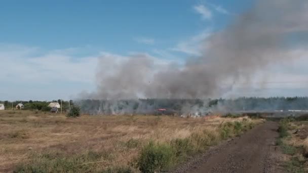 Fire Dry Grass in Field near the Village in Summer, Burning Grass — Vídeos de Stock