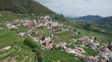 İtalya 'nın tepelerindeki üzüm bağlarının hava manzarası, büyüyen üzüm bağları.