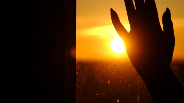 Silhouette Female Hand on Glass Window Against Sunset, Sun Rays Between Fingers — Stock Video